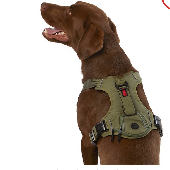Kong Dog Kong Reflective Waste Bag Dog Harness Poshmark